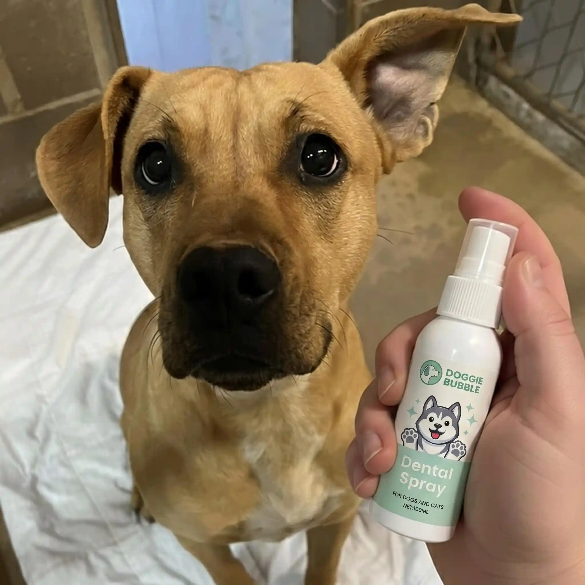 spray aanbrengen